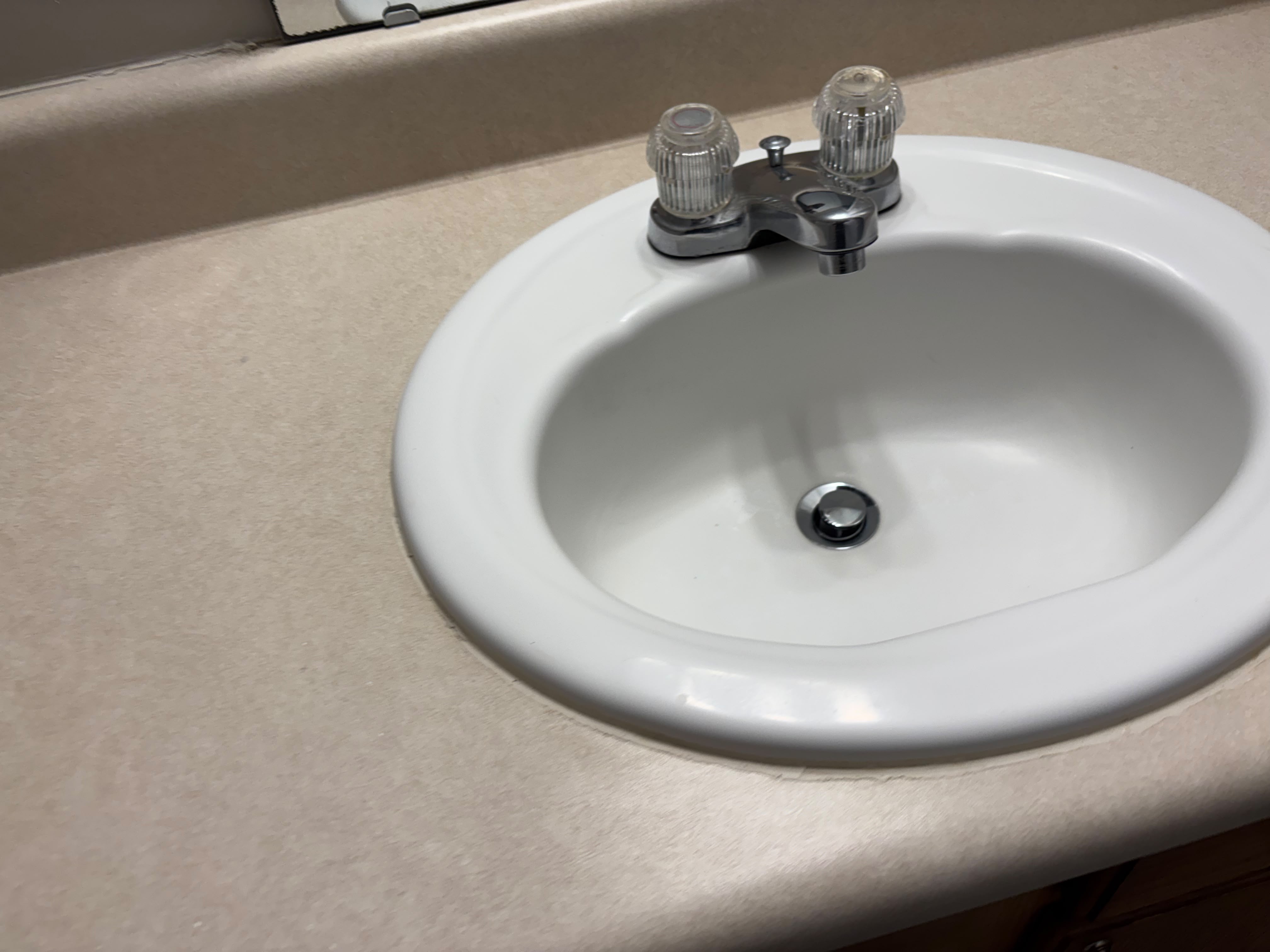 Detail-Sanitized Sink & Faucets